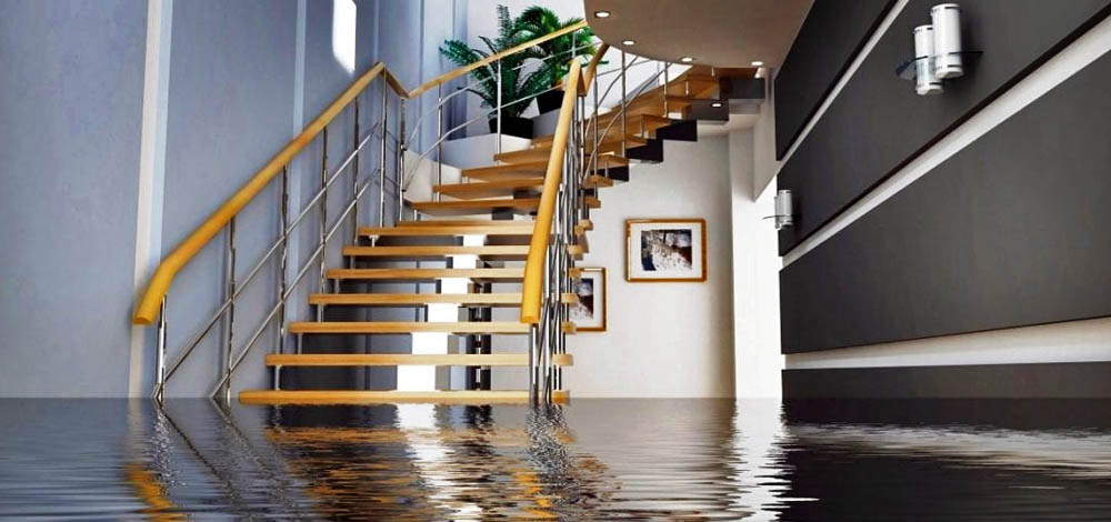 Water Damage Restoration In Oahu Honolulu